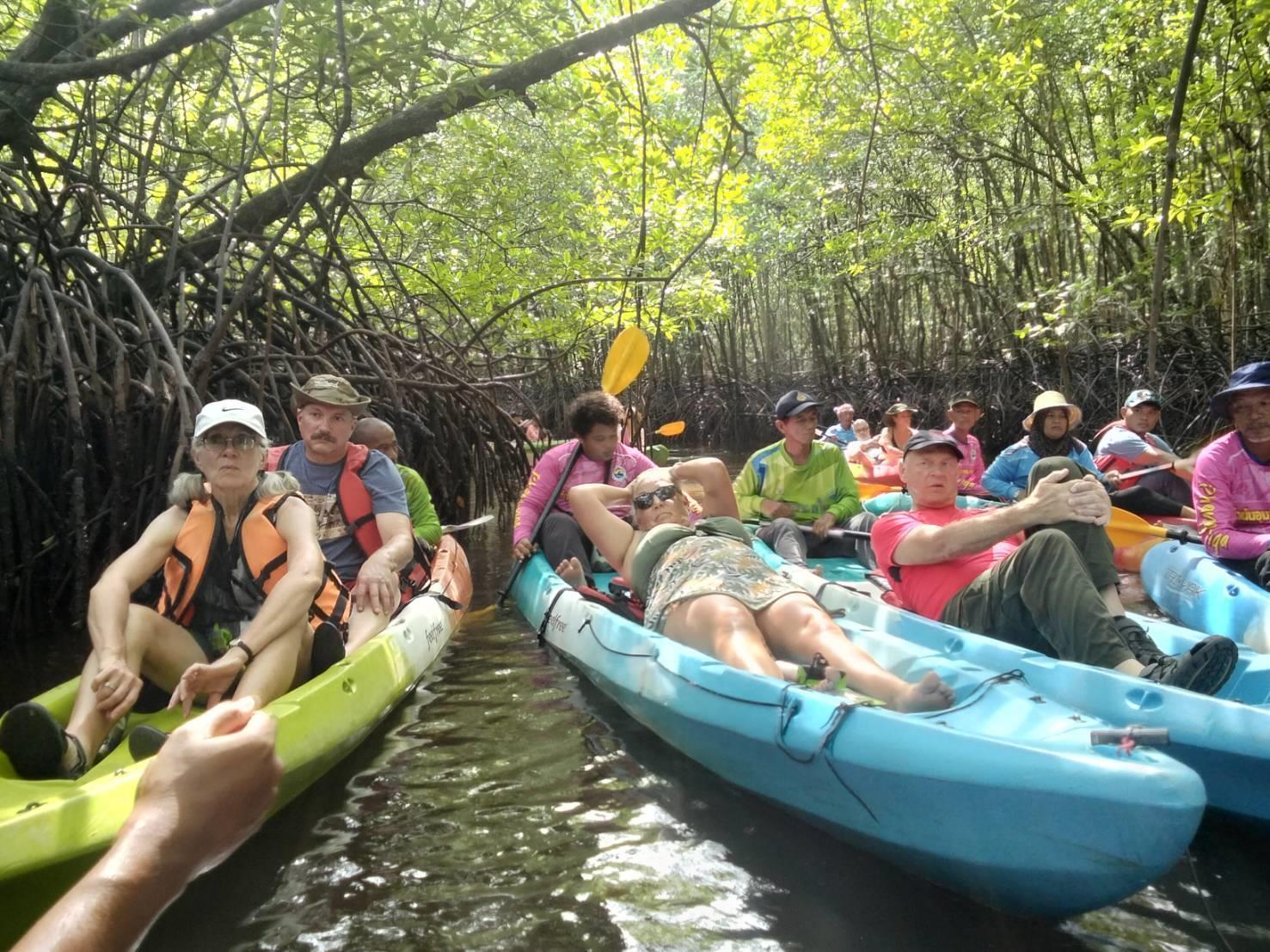 Mangrove Kayak & Beach Day Experience 2
