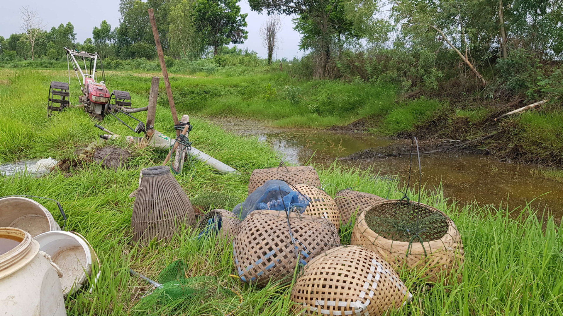 Farming in Isan Experience