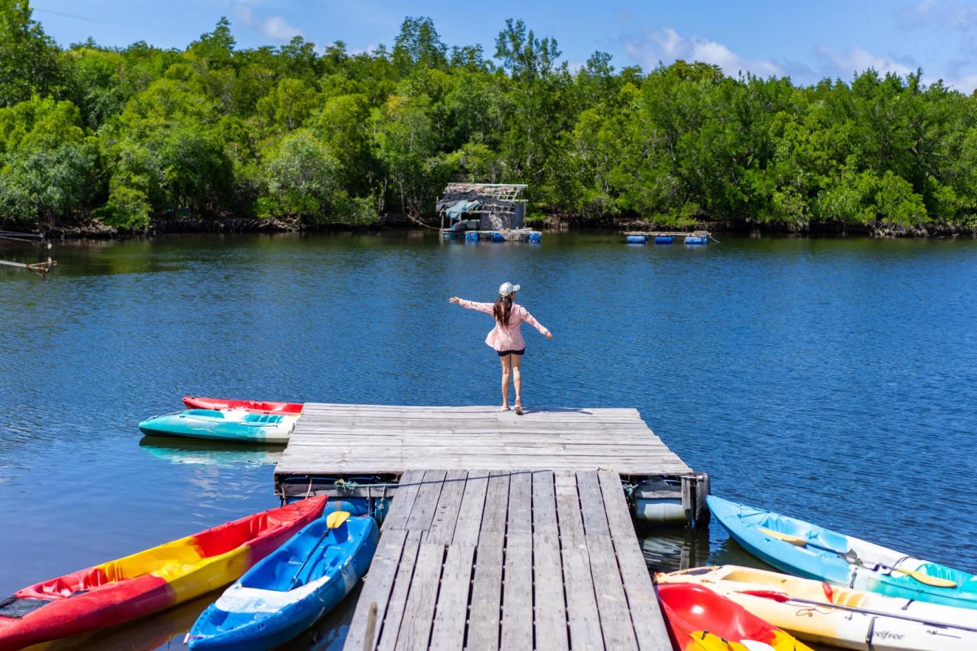 Mangrove Kayak & Beach Day Experience