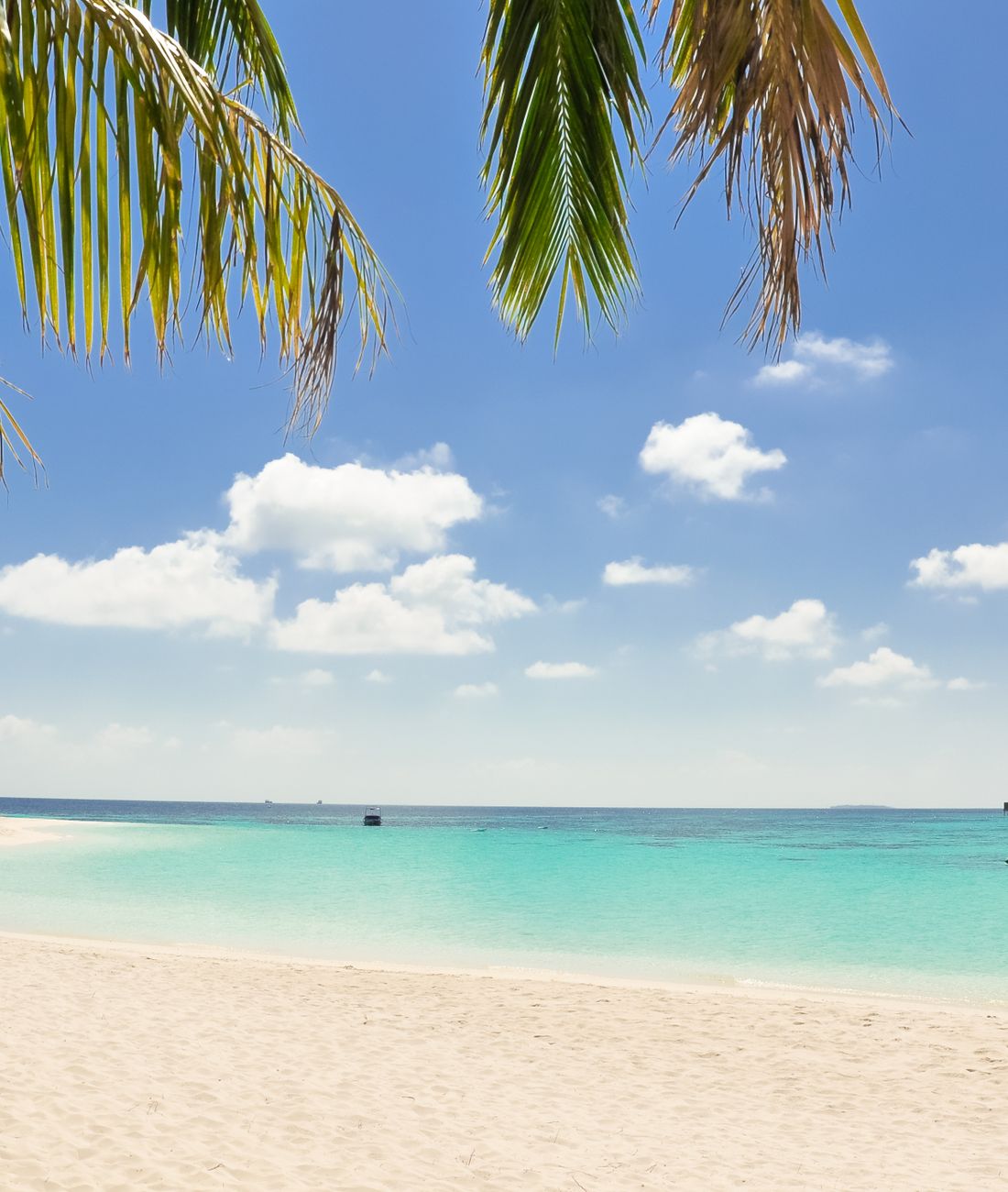 Koh Yao Noi, Andaman Islands
